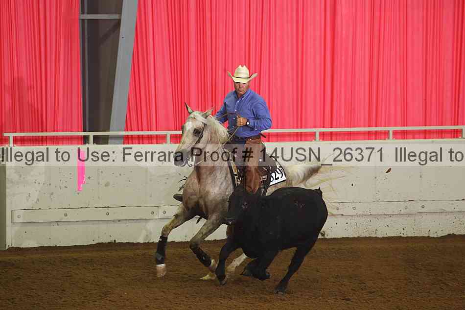 Proof 14usn_26371
