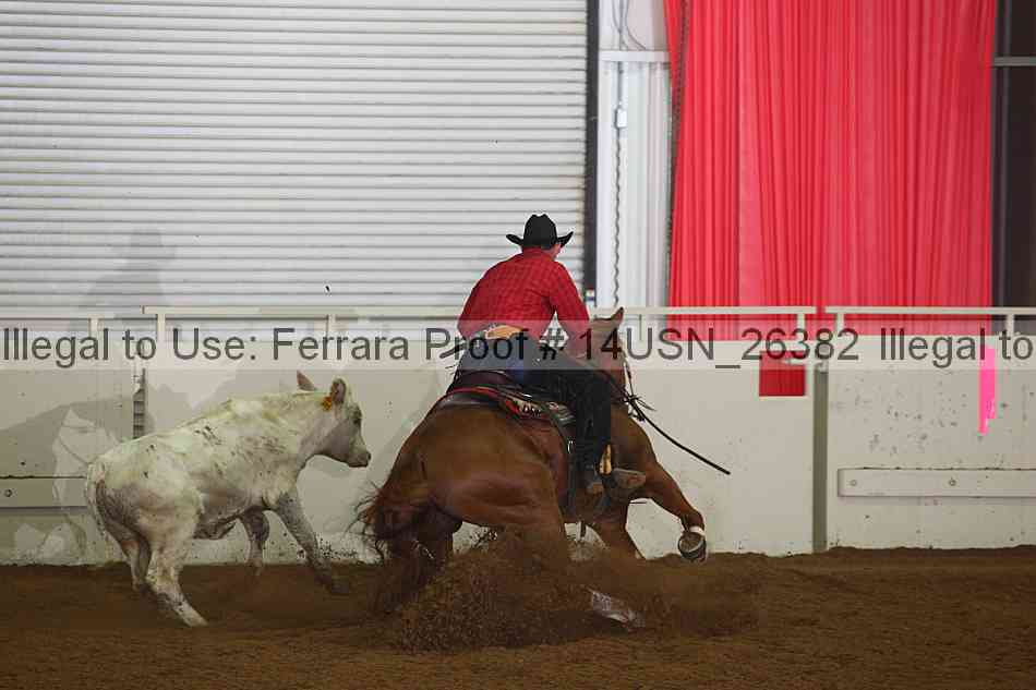 Proof 14usn_26382