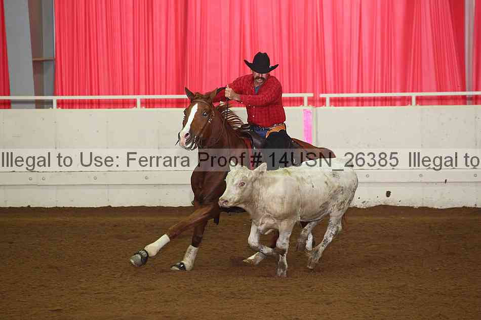 Proof 14usn_26385