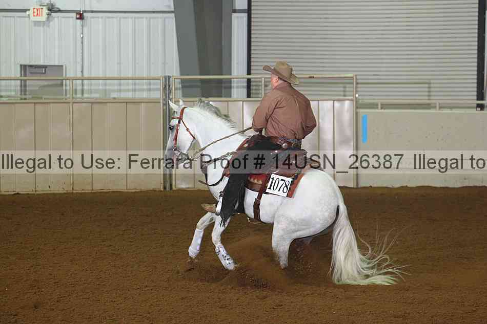 Proof 14usn_26387