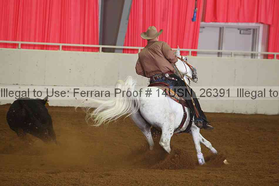 Proof 14usn_26391
