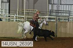 14usn_26395 proof