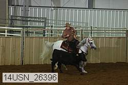 14usn_26396 proof