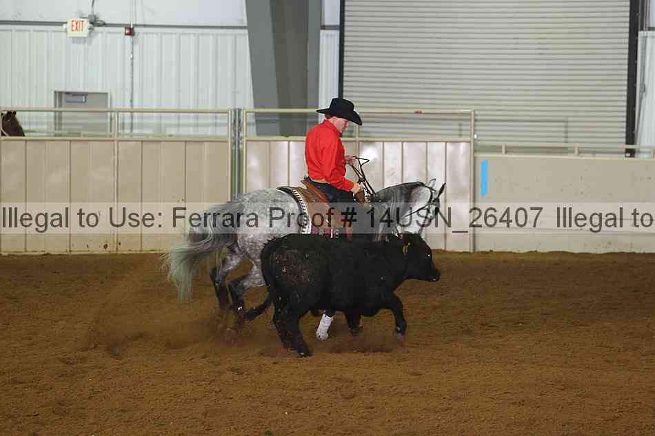 Proof 14usn_26407