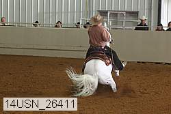 14usn_26411 proof