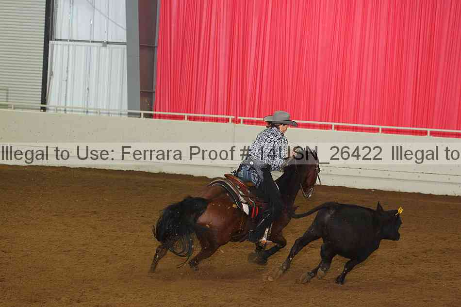 Proof 14usn_26422