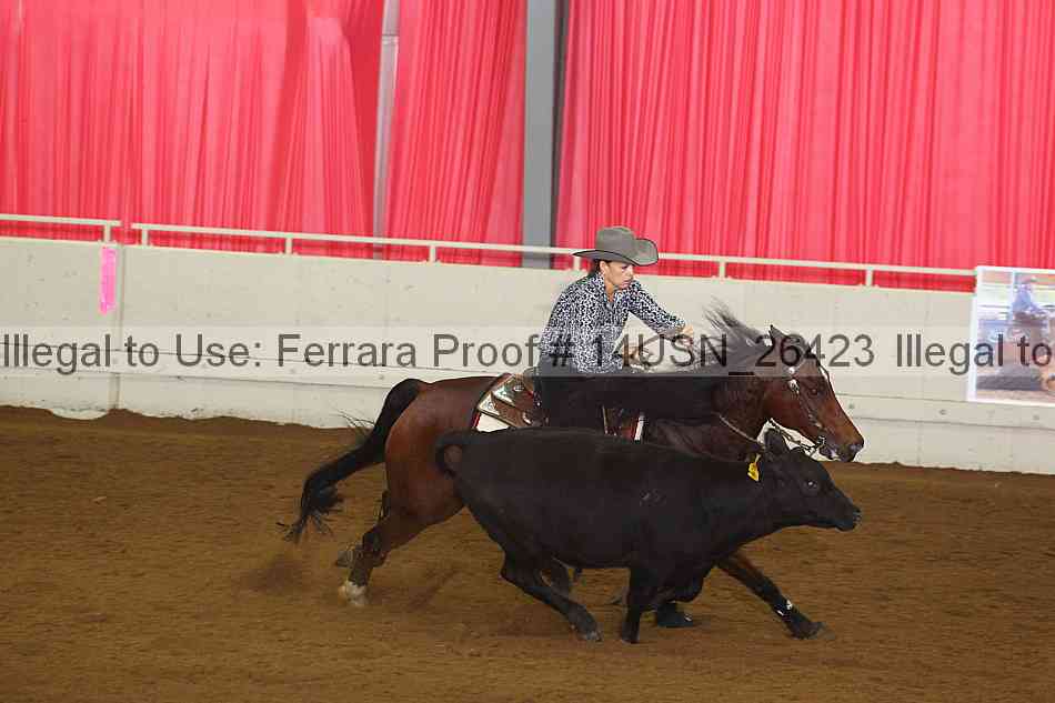 Proof 14usn_26423