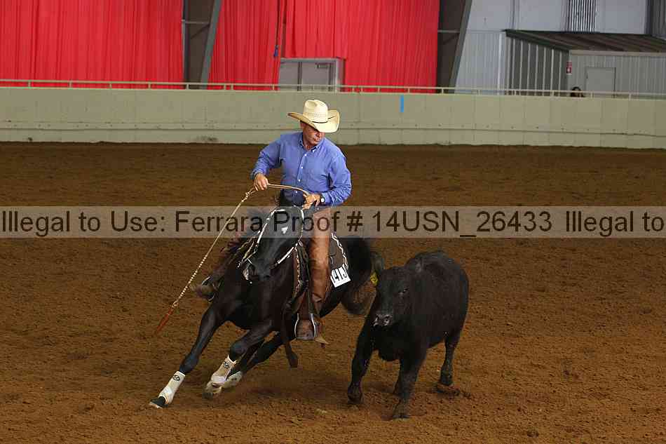 Proof 14usn_26433