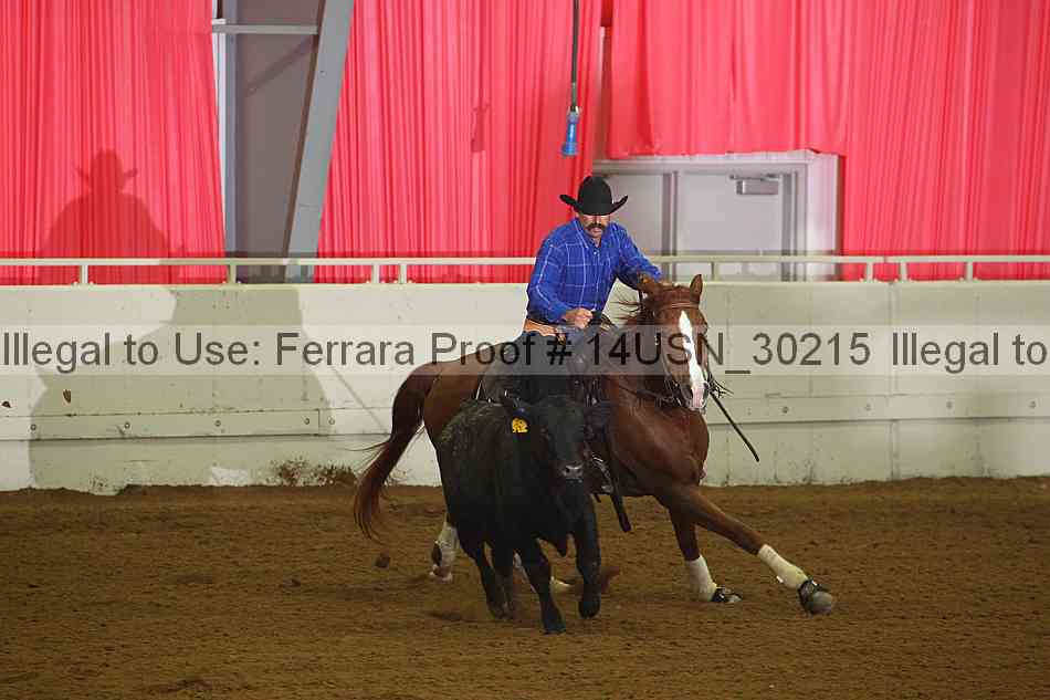 Proof 14usn_30215