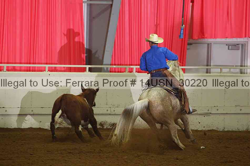Proof 14usn_30220