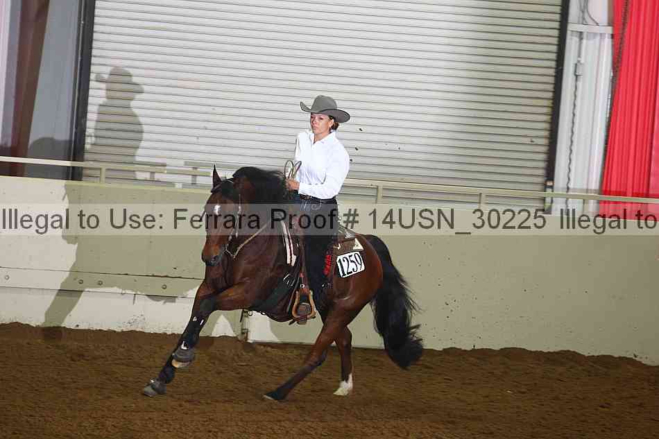 Proof 14usn_30225