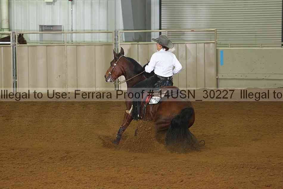 Proof 14usn_30227