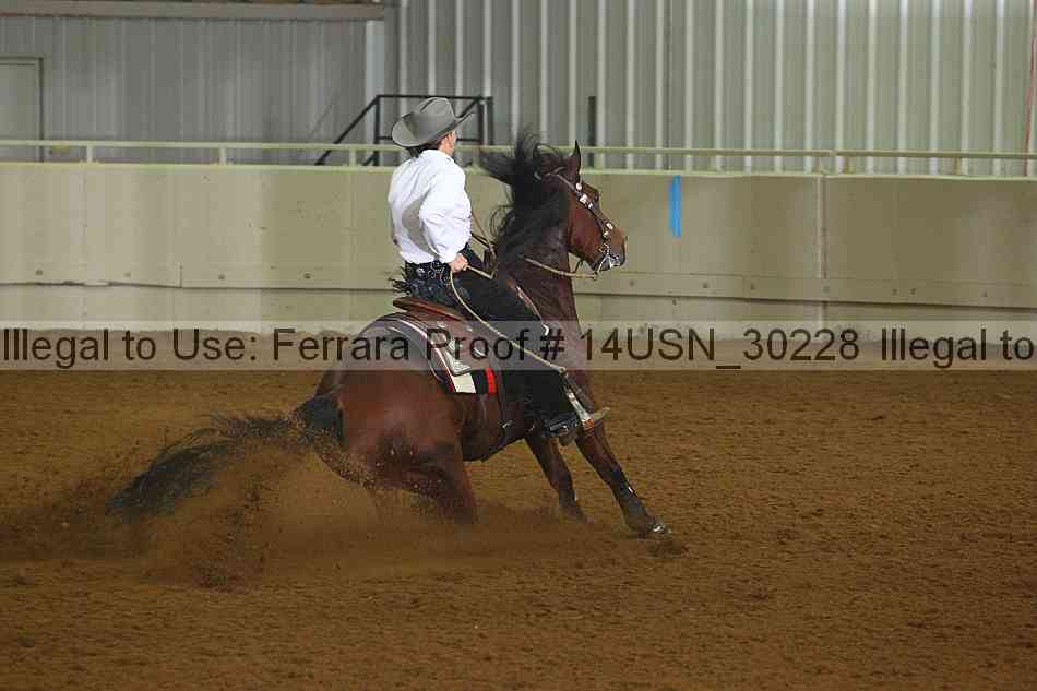 Proof 14usn_30228