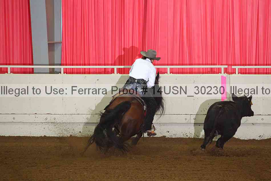 Proof 14usn_30230