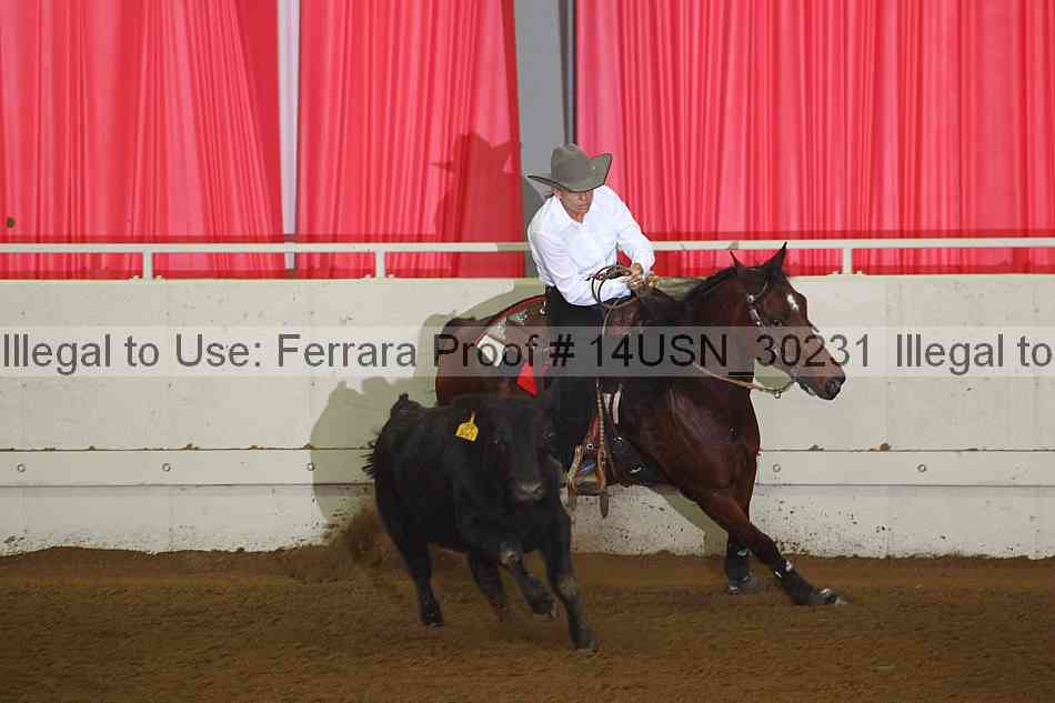 Proof 14usn_30231