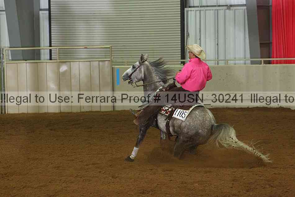 Proof 14usn_30241