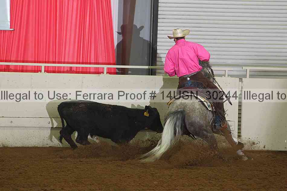 Proof 14usn_30244