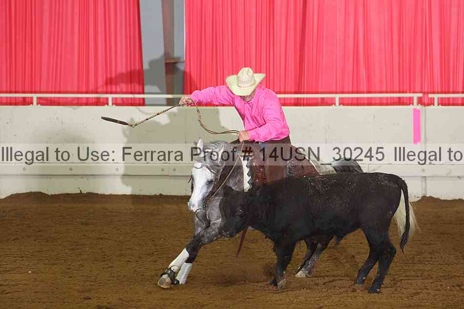 Proof 14usn_30245