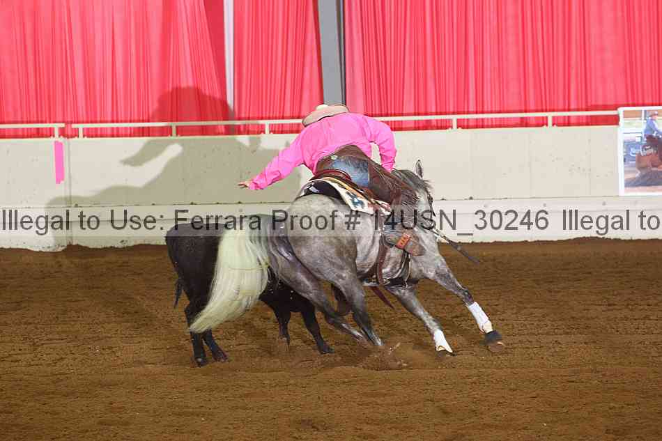 Proof 14usn_30246