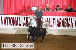 14usn_30254 proof