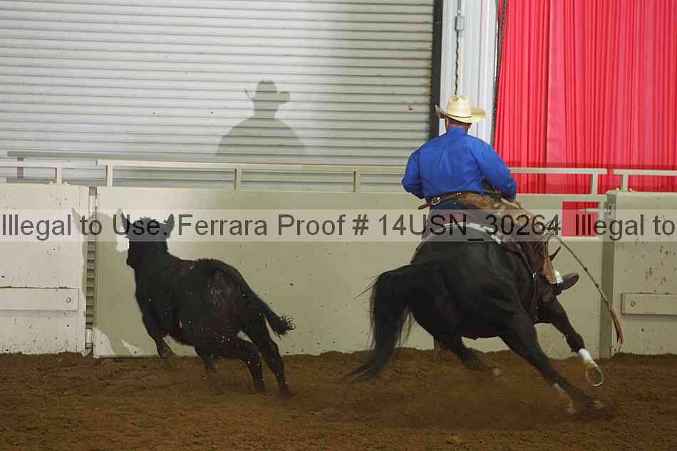 Proof 14usn_30264