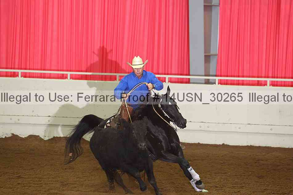 Proof 14usn_30265