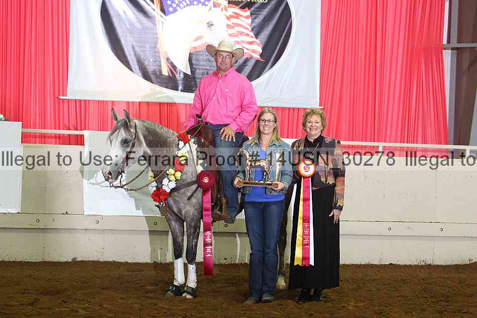 Proof 14usn_30278