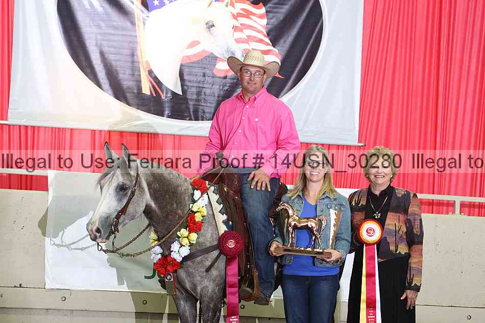 Proof 14usn_30280