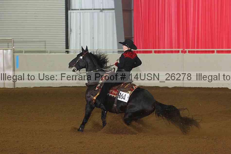 Proof 14usn_26278