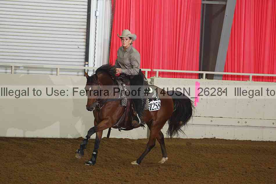Proof 14usn_26281