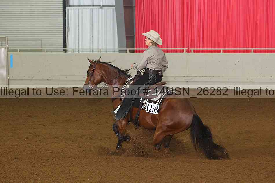 Proof 14usn_26282