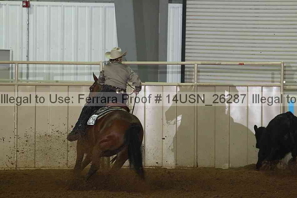 Proof 14usn_26287