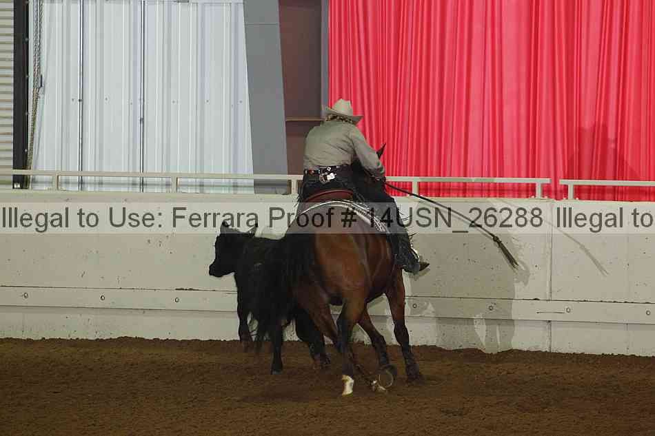 Proof 14usn_26288