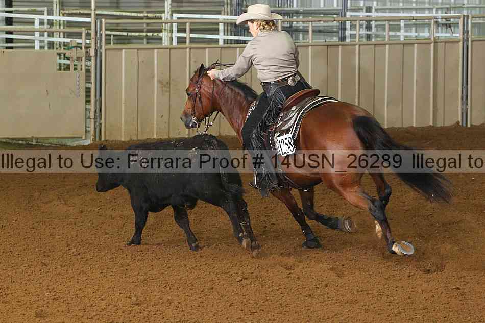 Proof 14usn_26289