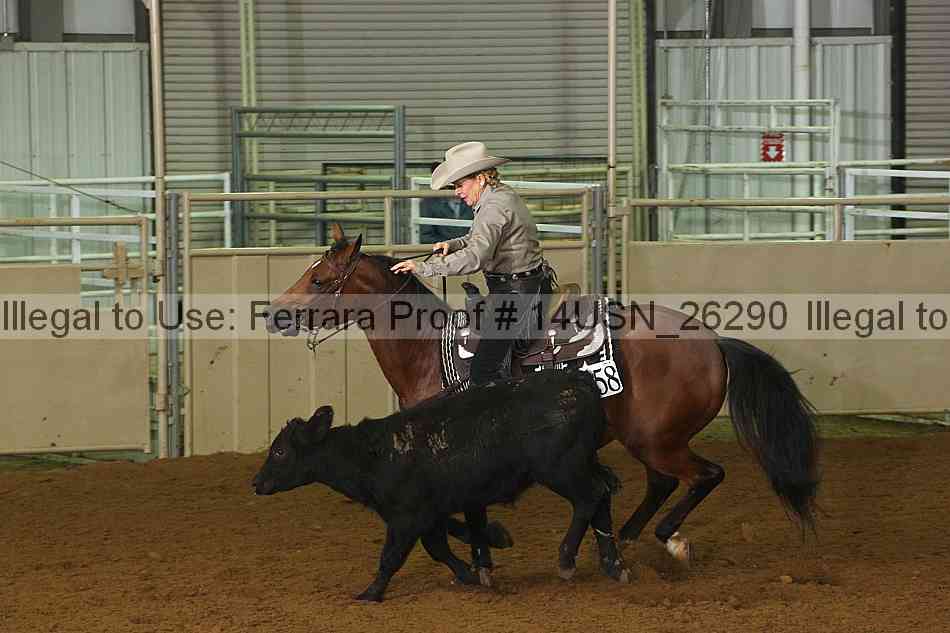 Proof 14usn_26290