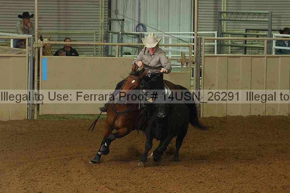 Proof 14usn_26291