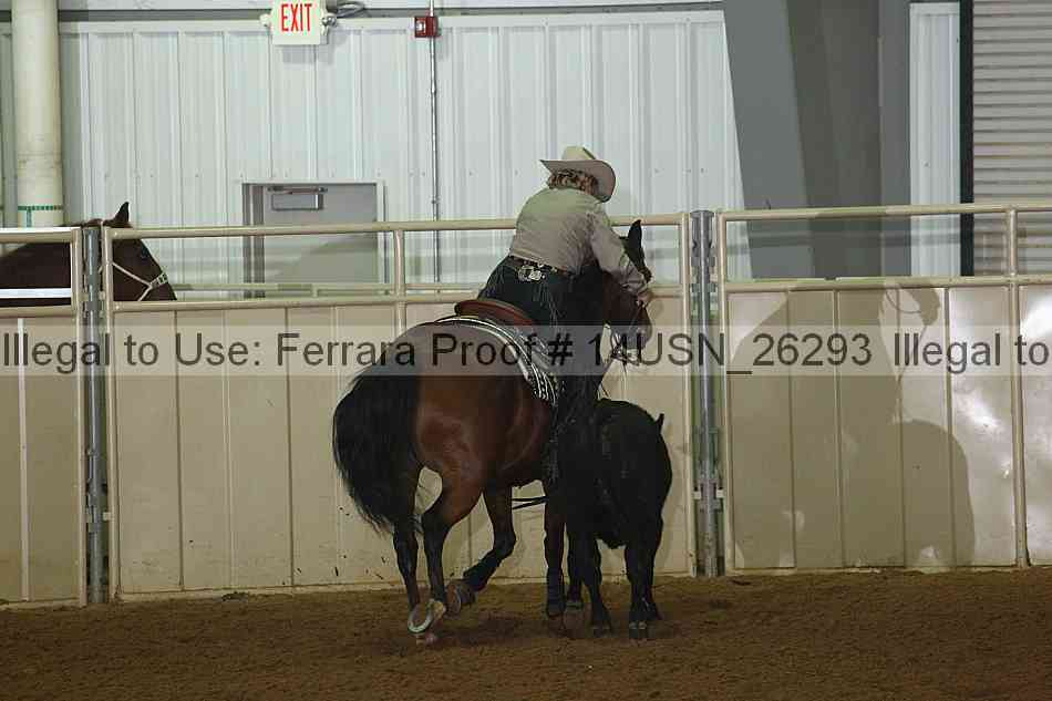 Proof 14usn_26293