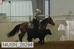 14usn_26294 proof