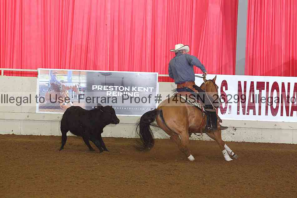 Proof 14usn_26299