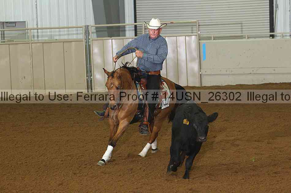 Proof 14usn_26302