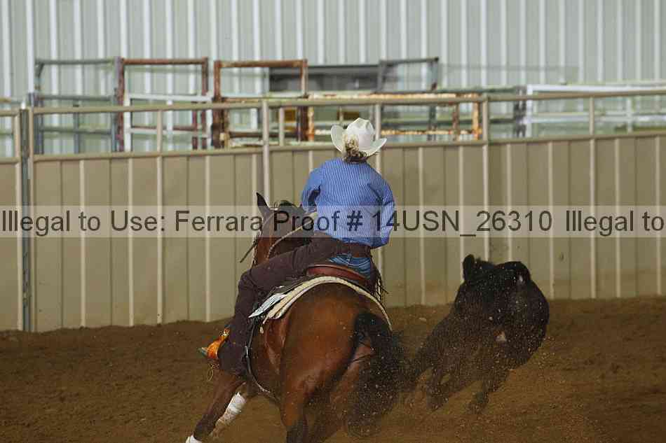 Proof 14usn_26310