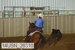14usn_26310 proof