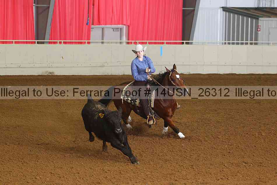 Proof 14usn_26312