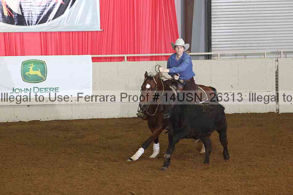 Proof 14usn_26313