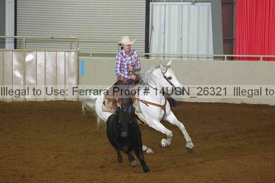 Proof 14usn_26321