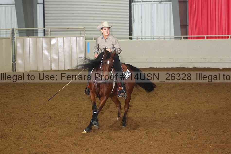 Proof 14usn_26328