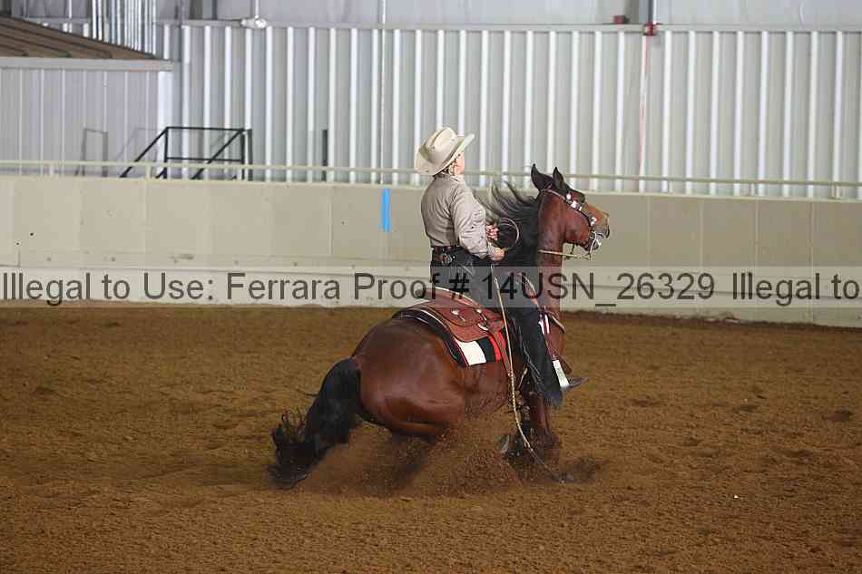 Proof 14usn_26329