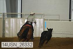 14usn_26332 proof