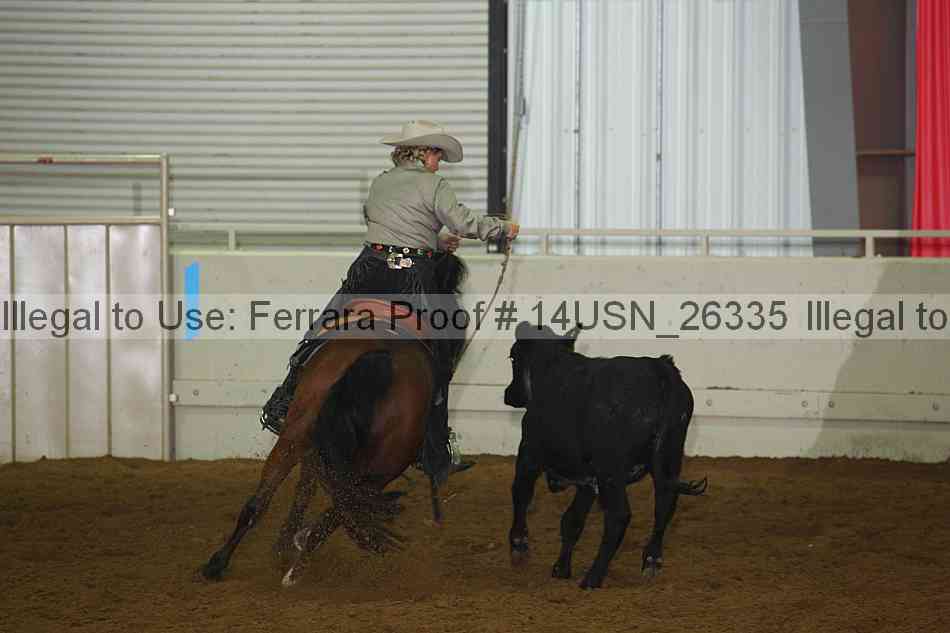 Proof 14usn_26335