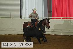 14usn_26336 proof